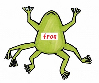 Frog with seven legs.