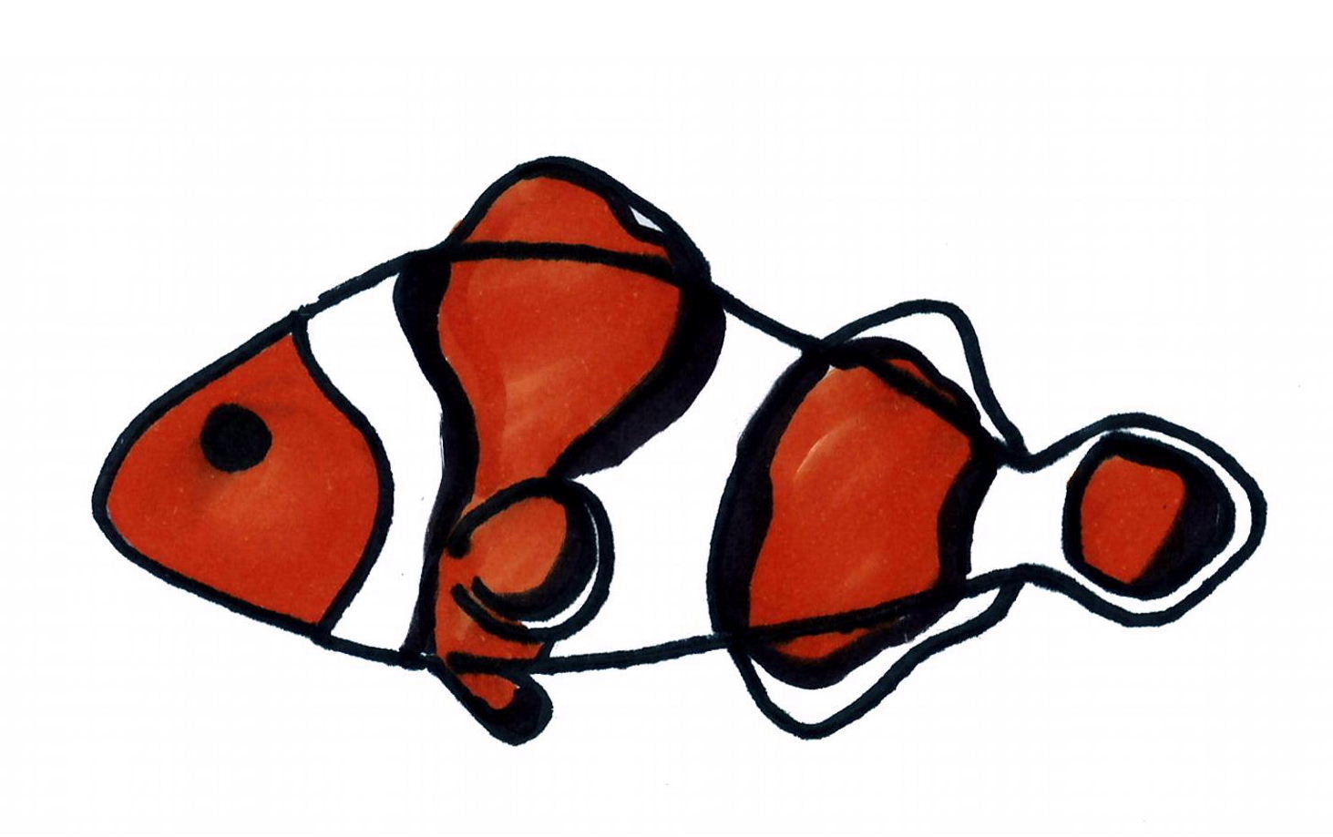 Fin(Clownfish)