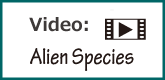 Video; Alien Species