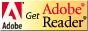 Adobe Reader6.0