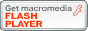 Macromedia Flash Player_E[h