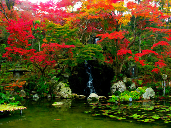 日本庭園 江戸時代