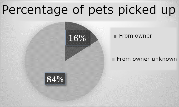 Percentage of dogs and cats taken over