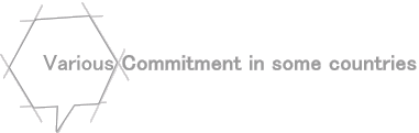 Various Commitment in some countries