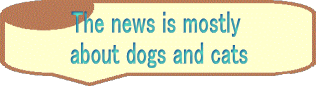The news is mostly  about dogs and cats