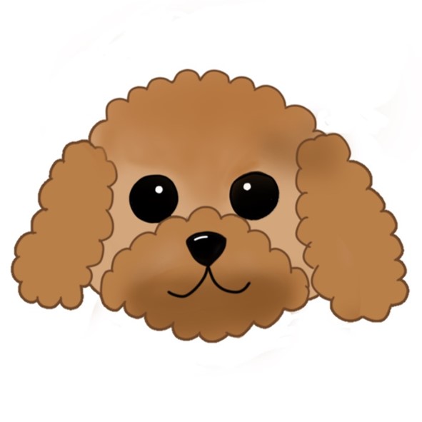 A toy poodle is Eri