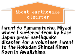 About earthquake disaster