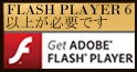 FlashPlayer