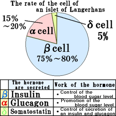 Working of each kinds cells