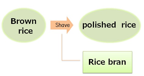 rice oil