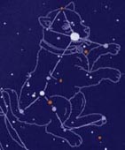 �������ʍ�