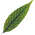 �t