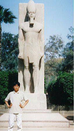 �����t�B�X�̃����Z�X�U�����̎ʐ^�ł��B