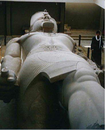 �����Z�X�U���̋����̎ʐ^�ł��B