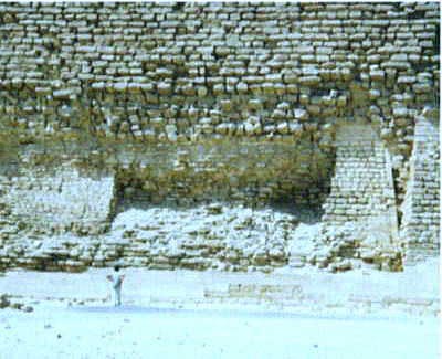 �T�b�J���̊K�i�s���~�b�h�̎ʐ^�ł��B