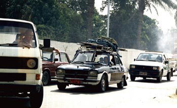 �����Ԃ������Ă���Ƃ�����ʂ����ʐ^�ł��B