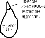 ���̐���