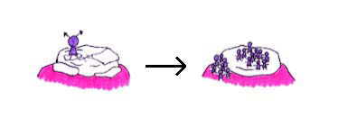 �~���[�^���X��