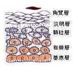 �畆�̂�����