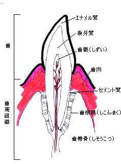 ���̂�����