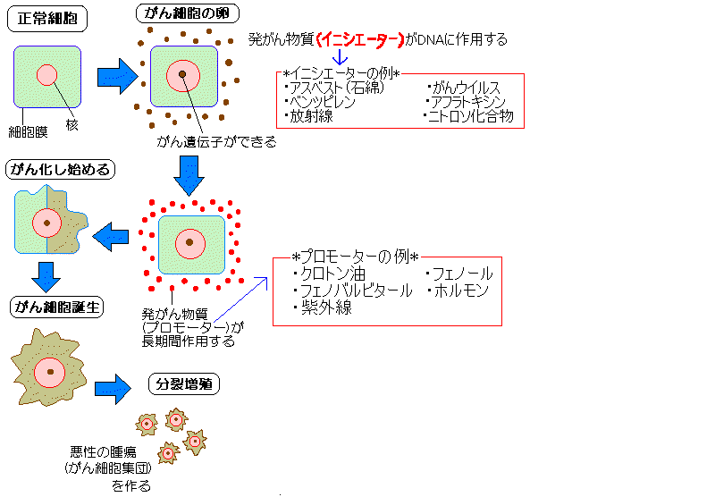 舌下がんの症状