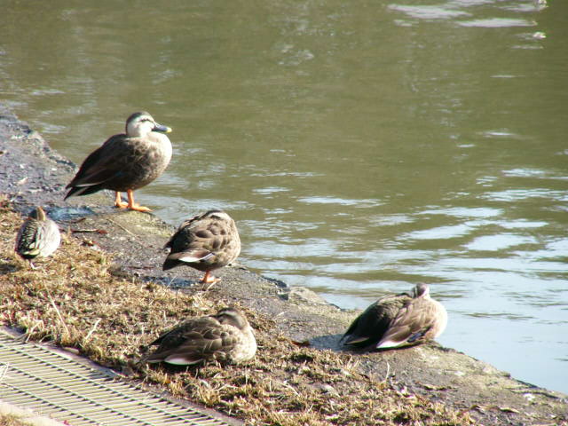 ����������J���K��