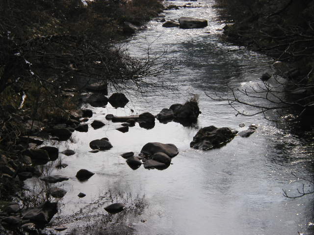 �{���E���R�s���t�߂̋{��