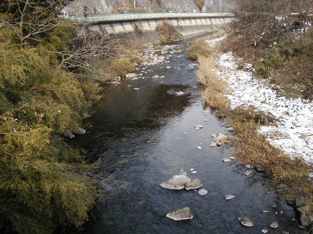 �{���E���R�s���t�߂̋{��