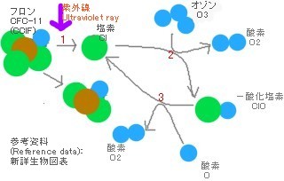 The mechanism of destroying ozone layer