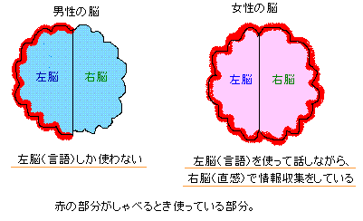 左脳と右脳