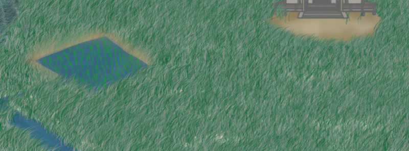 ��̂�����