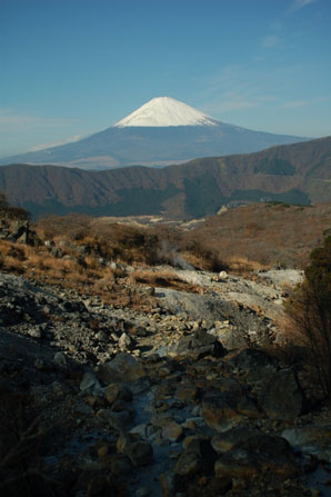 �������猩���x�m�R