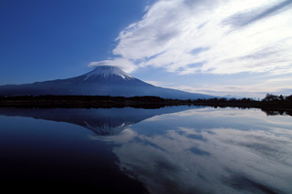 �c���΂��璭�߂��x�m�R