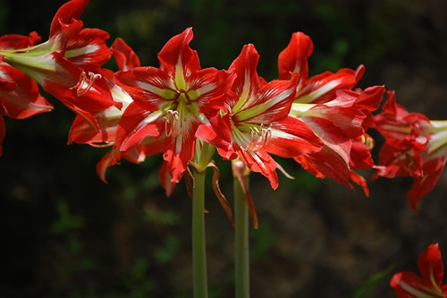 �A�}�����X