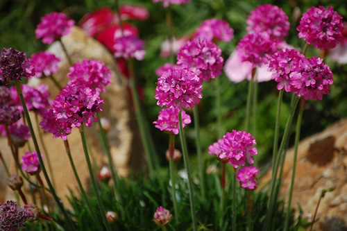 �A�������A