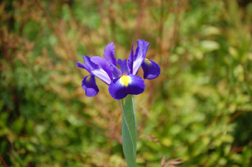 �_�b�`�A�C���X