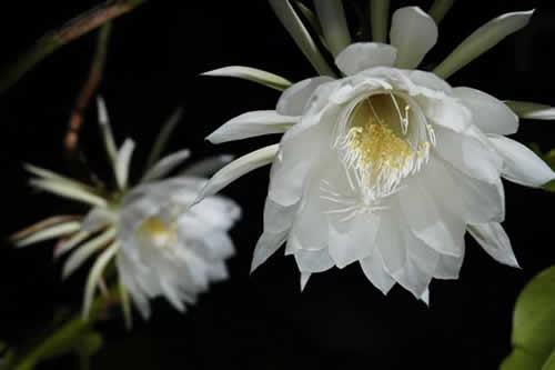 �������т���