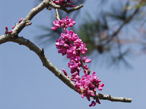 �͂Ȃ�����