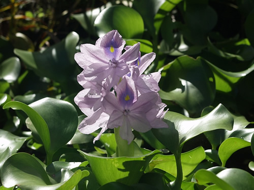 �قĂ�������