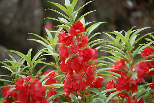 �ق�����