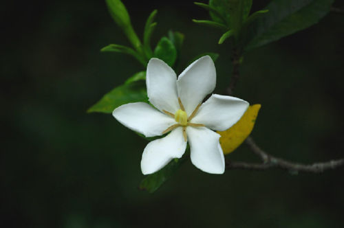 �����Ȃ�