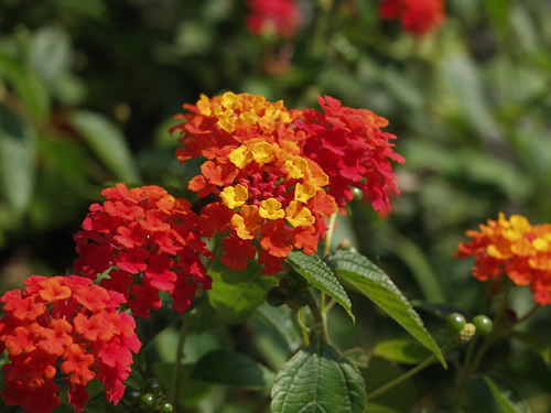 �����^�i