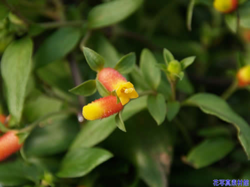 �}�l�b�`�A"