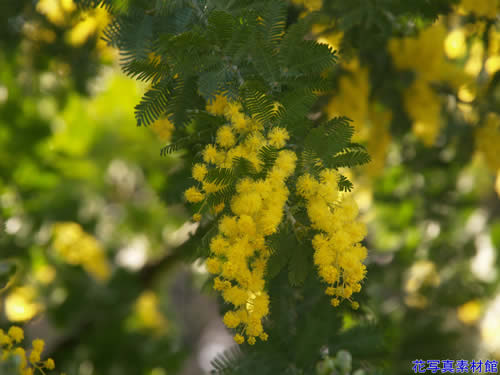 �~���U�A�J�V�A