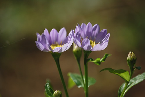 �݂₱�킷��"