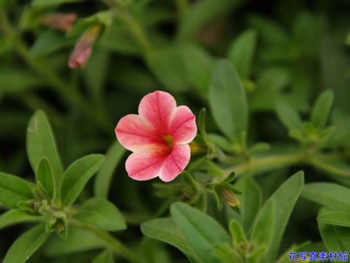 �y�`���j�A