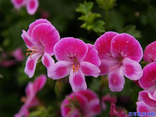 �y�����S�j�E��