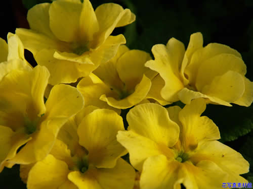 �v��������W�����A��