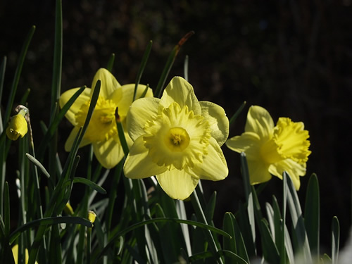 ���b�p��������