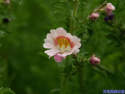 �V�U���T�X